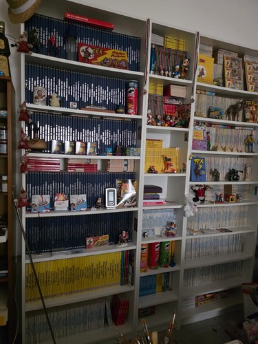 Tex willer collezione completa - willer,